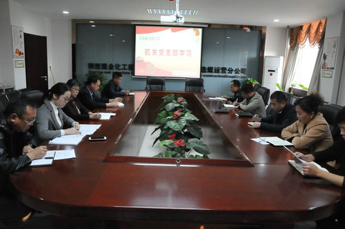 洗選煤運(yùn)營公司：“四步驅(qū)動”十九大精神落地生根