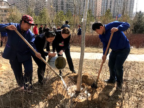 義務(wù)植樹展風(fēng)采 我與神南共成長