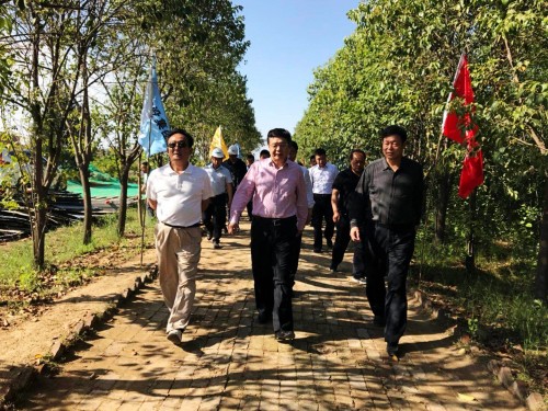 陜西省總工會黨組書記、主席白阿瑩一行蒞臨鄠邑區(qū)調(diào)研考察草堂寺健康養(yǎng)老示范項目