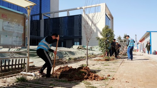 陜煤建設(shè)澄合分公司基層單位開展“植樹護(hù)綠，美麗家園”義務(wù)植樹活動