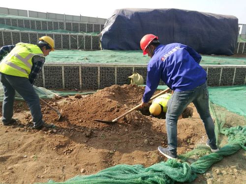 陜煤建設(shè)綠宇園林公司:激活“神經(jīng)末梢”  打響“五小”創(chuàng)新戰(zhàn)