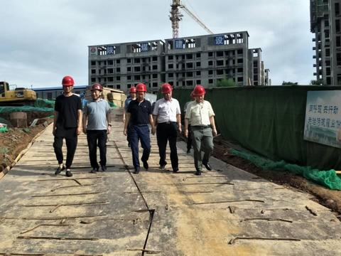 贠公法在航天城藍(lán)山水岸項(xiàng)目調(diào)研