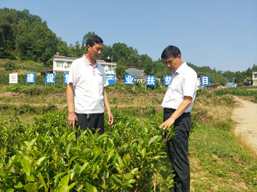 侯本英赴漢陰縣大壩村調(diào)研指導(dǎo)幫扶工作