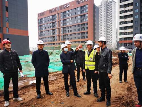 楊讓順深入藍山水岸項目檢查指導(dǎo)工作