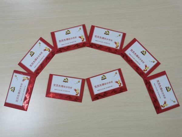 “黨員先鋒”的播種、開花與結(jié)果