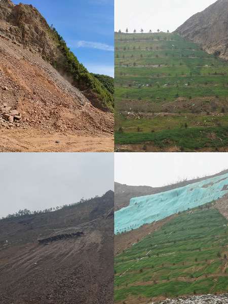 渣山變綠林，碎石堆場(chǎng)批“綠裝”