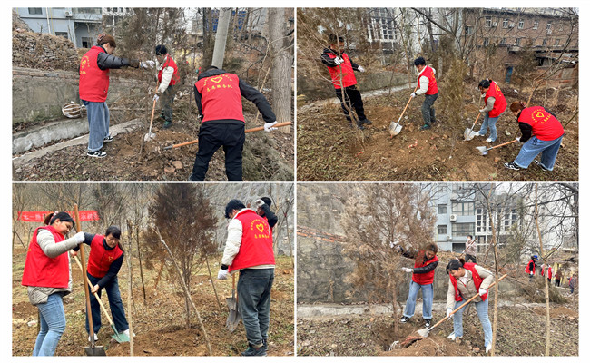 陜煤建設(shè)機(jī)電安裝公司：走，上春山，植樹去！