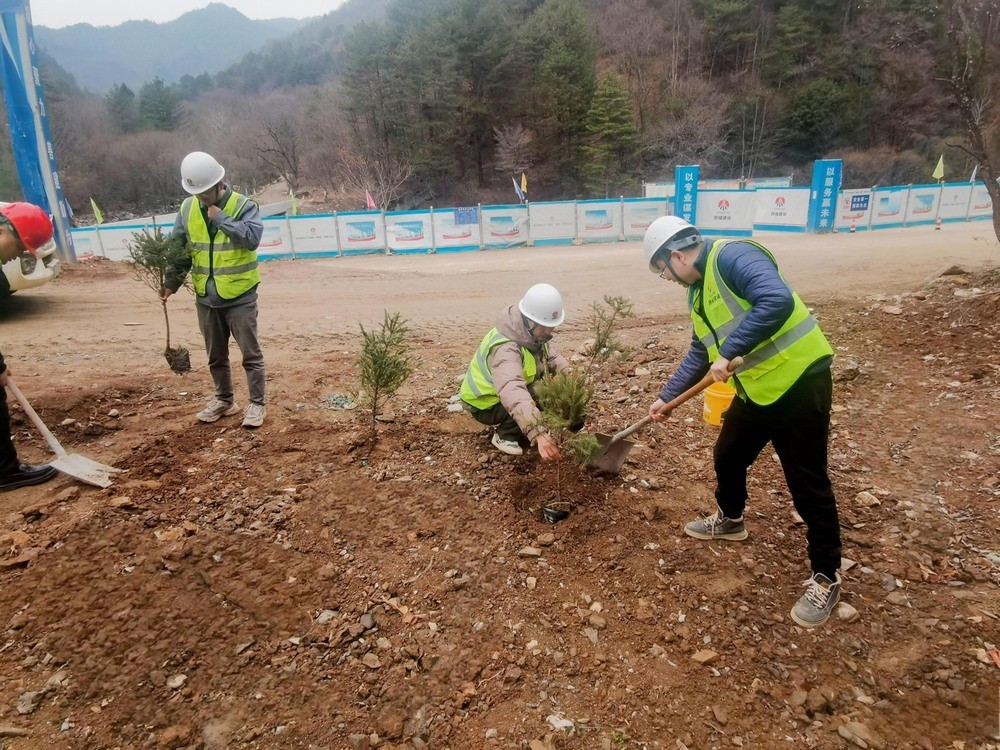 “植”此青綠，陜煤建設(shè)路橋分公司春風十里添新林