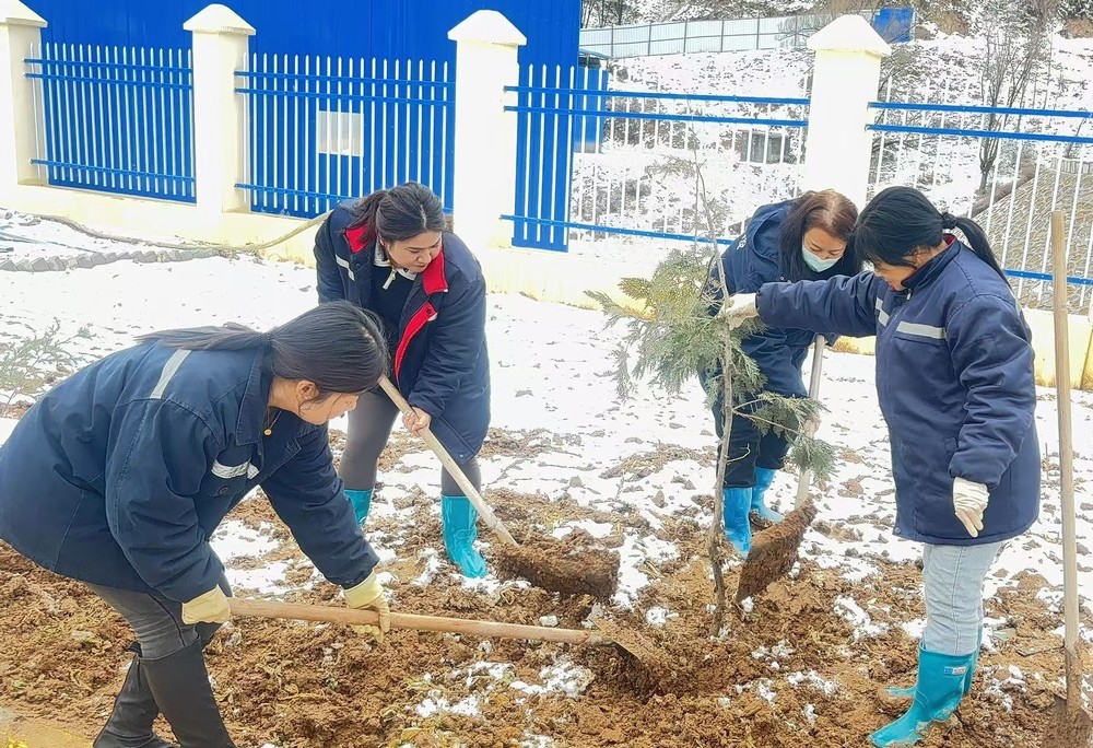 陜煤建設(shè)礦建三公司：巾幗添綠綻芳華，共筑生態(tài)新環(huán)境