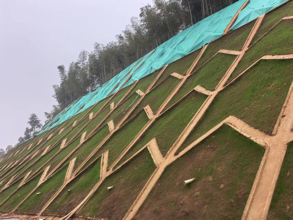 陜煤建設(shè)西北分公司：邊坡披綠衣，防護(hù)顯匠心