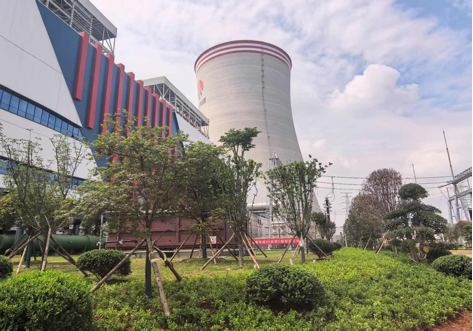 陜煤建設(shè)西北分公司：綠意盎然入電廠，生態(tài)建設(shè)譜新章