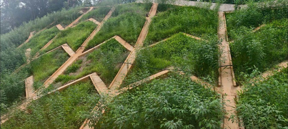 陜煤建設(shè)西北分公司：長安益陽發(fā)電有限公司2×100萬千瓦擴(kuò)能升級(jí)改造項(xiàng)目 高邊坡支護(hù)工程順利通過竣工驗(yàn)收